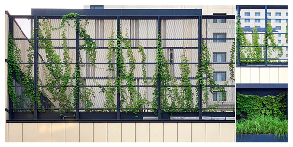 園冶杯獲獎作品丨車公莊19號院景觀改造