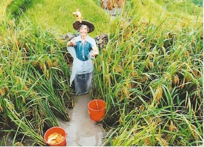 保護和推廣農業遺產在哪些方面獲得成功?