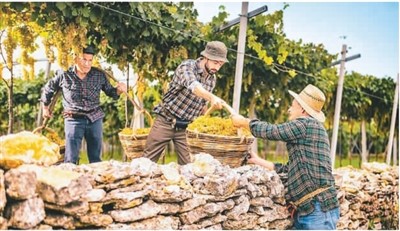 保護和推廣農業遺產在哪些方面獲得成功?