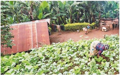 保護和推廣農業遺產在哪些方面獲得成功?