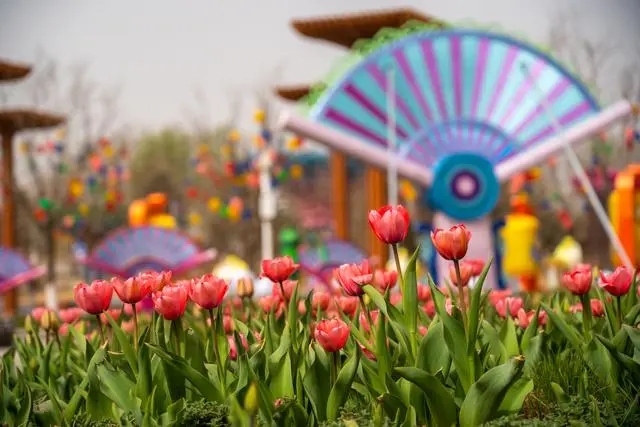 世園公園將推出漢服游園和農(nóng)耕體驗研學等活動