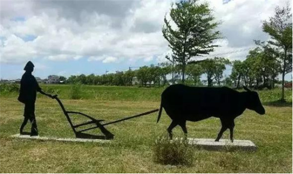 臺南市土溝村:藝術介入社區營造,探索現代農村生活模式