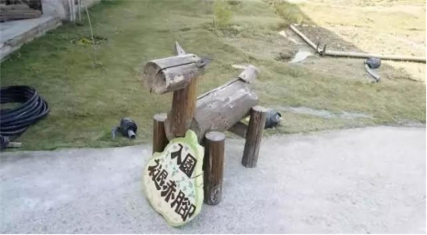 臺南市土溝村:藝術介入社區營造,探索現代農村生活模式