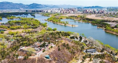 時代變革中的文化遺產,如何保護利用?