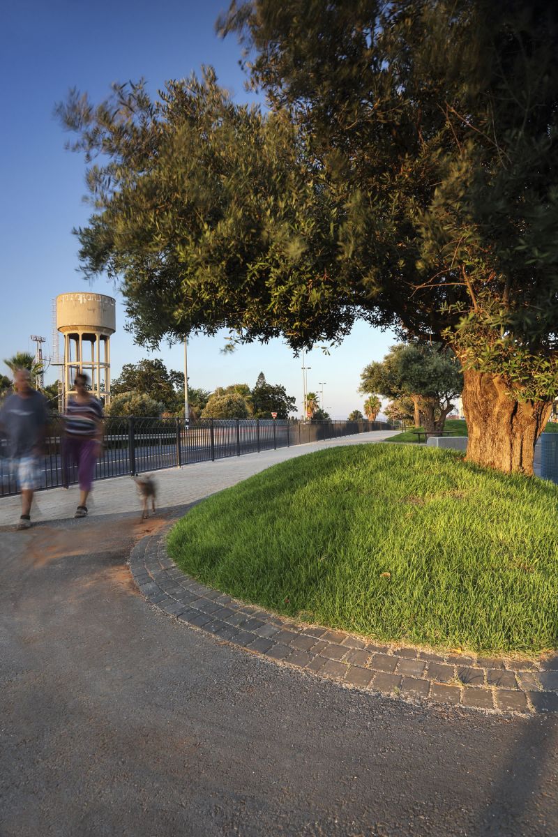 賓亞米納體育公園