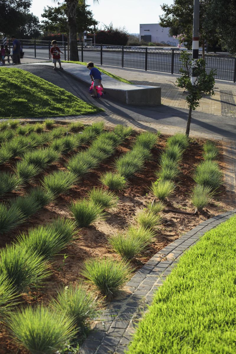 賓亞米納體育公園