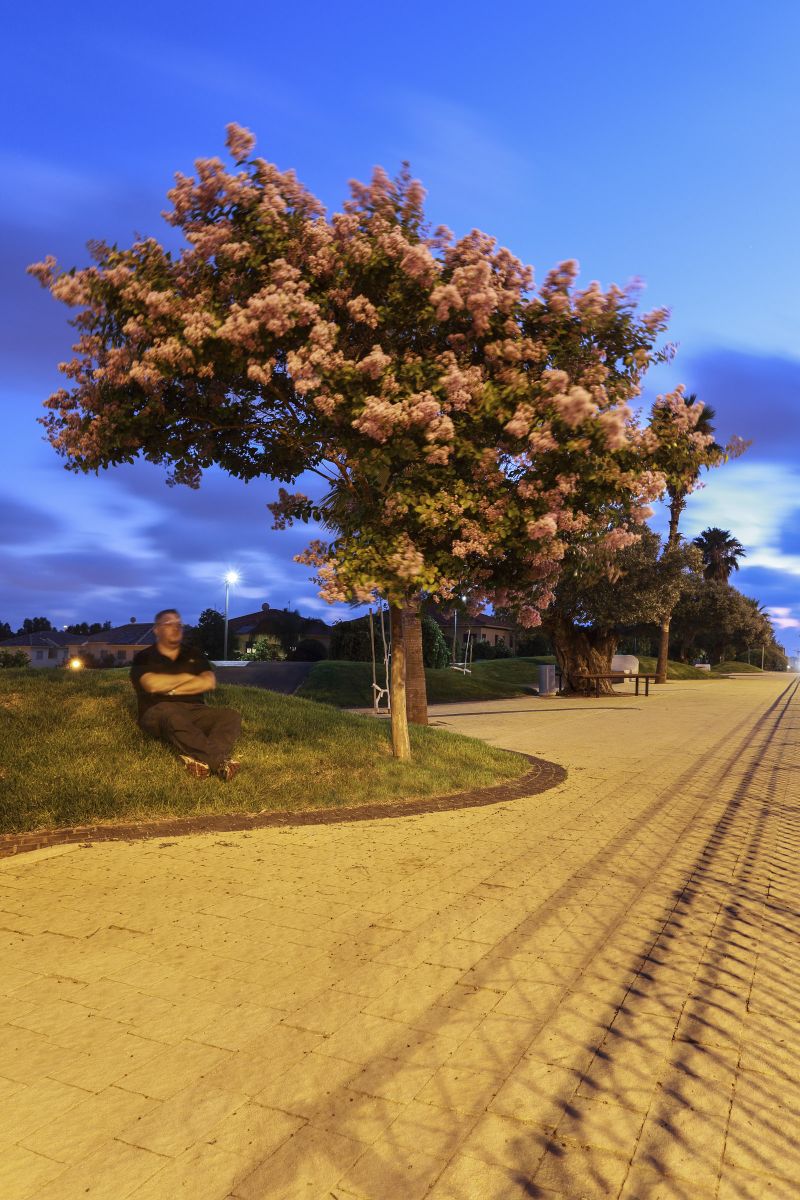 賓亞米納體育公園