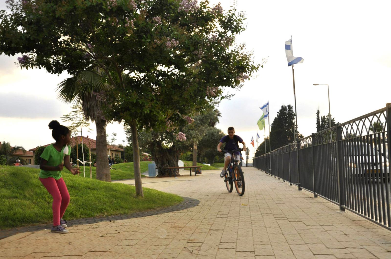 賓亞米納體育公園