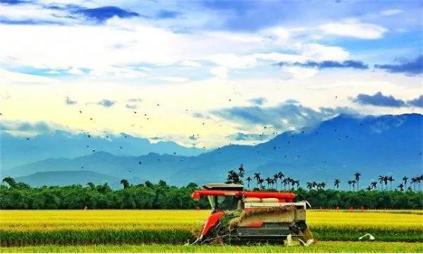 嘉義縣大林鎮:諧音梗不扣錢 反成流量密碼