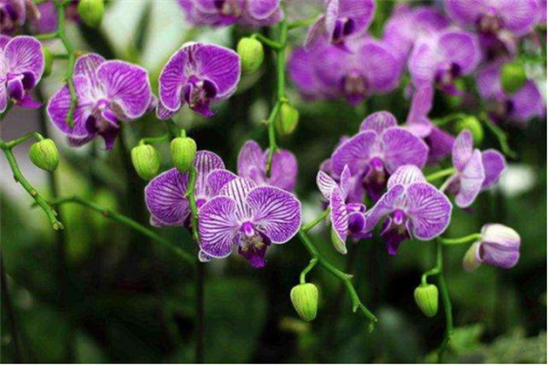 嘉義縣大林鎮:諧音梗不扣錢 反成流量密碼