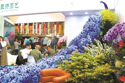 花卉經(jīng)濟(jì)復(fù)蘇迎來更多合作發(fā)展機(jī)遇