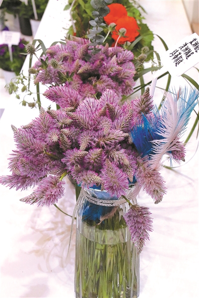 花卉經(jīng)濟(jì)復(fù)蘇迎來更多合作發(fā)展機(jī)遇