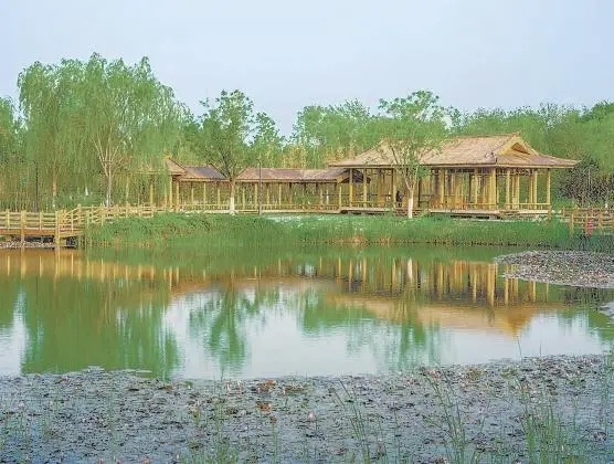 北京城市副中心建成51處公園375公里綠道