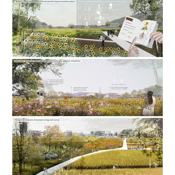 第十三屆園冶杯一等獎作品|從電子垃圾到生態修復