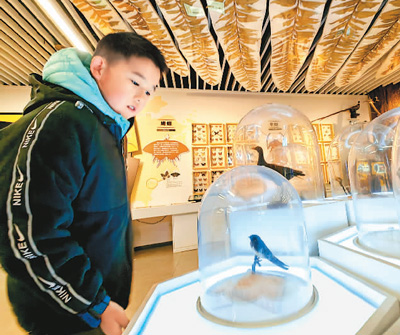 博物館賦能美好生活