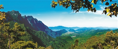 我國重點保護野生動植物種群持續恢復