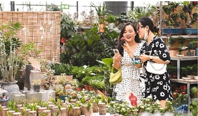 工業(yè)遺產(chǎn): 從沉睡到新生