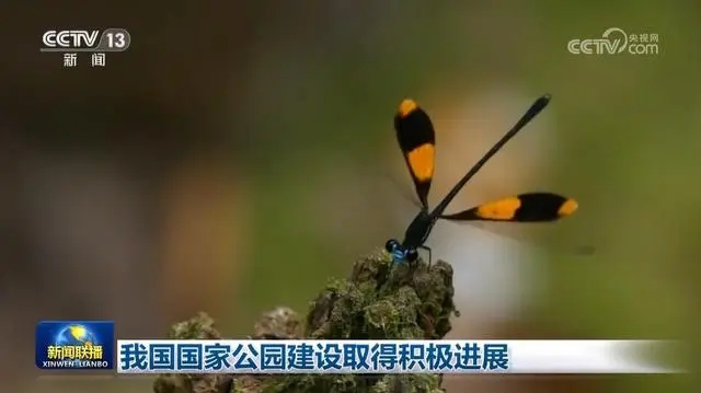 一年來，我國國家公園在哪些方面取得積極進展