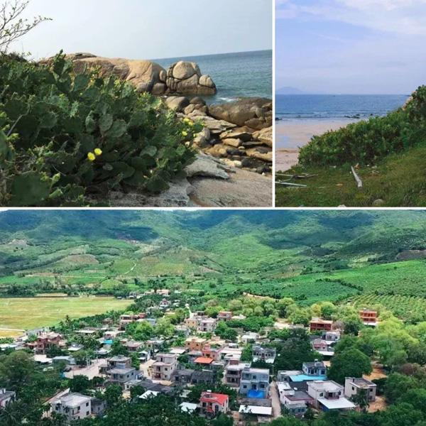 致舍景觀 | 阿那亞三亞南花園