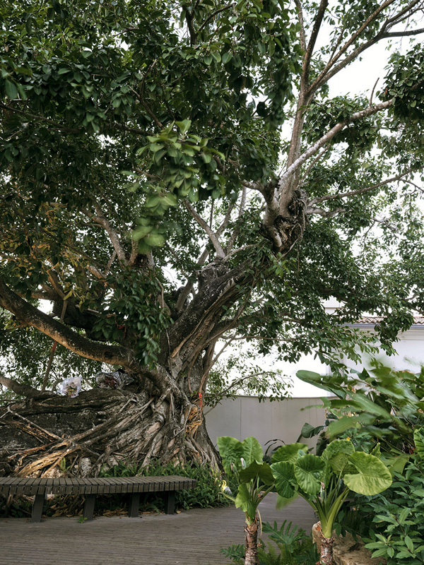 致舍景觀 | 阿那亞三亞南花園