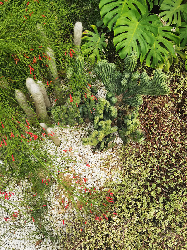 致舍景觀 | 阿那亞三亞南花園