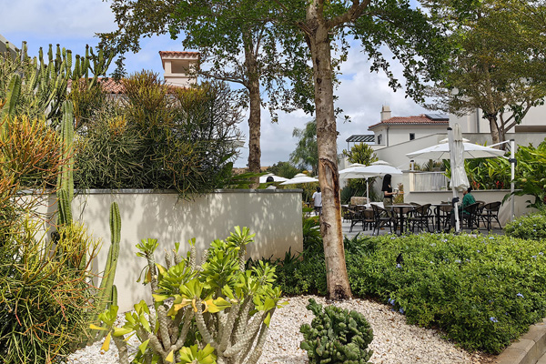 致舍景觀 | 阿那亞三亞南花園