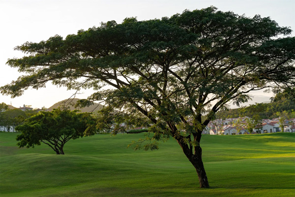 致舍景觀 | 阿那亞三亞南花園
