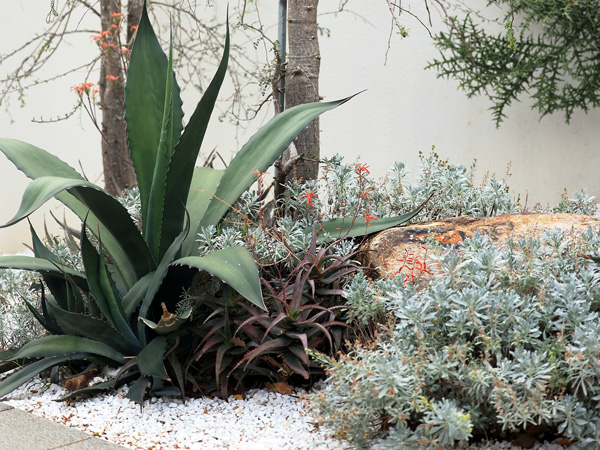 致舍景觀 | 阿那亞三亞南花園