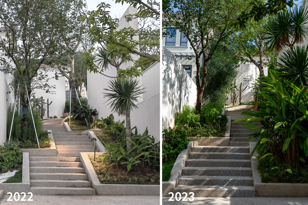 致舍景觀 | 阿那亞三亞南花園