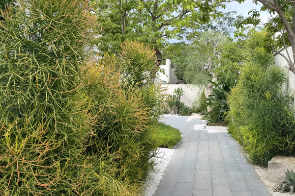 致舍景觀 | 阿那亞三亞南花園