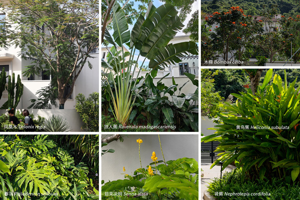 致舍景觀 | 阿那亞三亞南花園