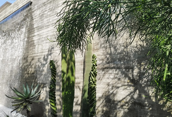 致舍景觀 | 阿那亞三亞南花園