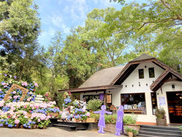 臺中新社薰衣草森林:人與自然的雙重自由