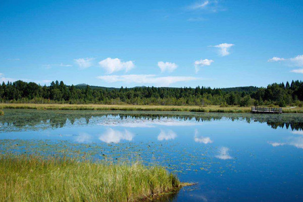 京冀兩地加快推進燕山-塞罕壩國家公園創建