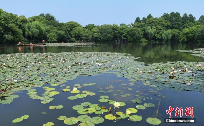 嚴禁偷窺大好河山?“圍欄擋景”到底在擋什么?