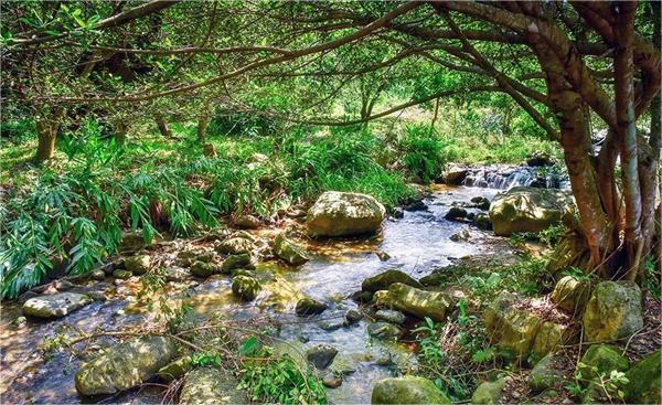 臺灣南投縣桃米村:多元產業融合 打造生態IP