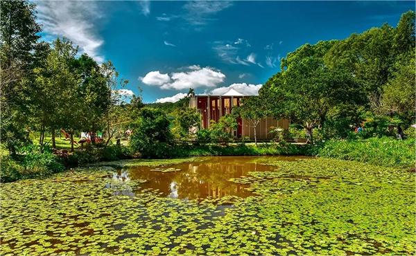 臺灣南投縣桃米村:多元產業融合 打造生態IP