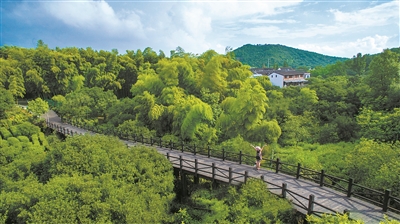 江蘇蘇州公布首批15條山地森林步道