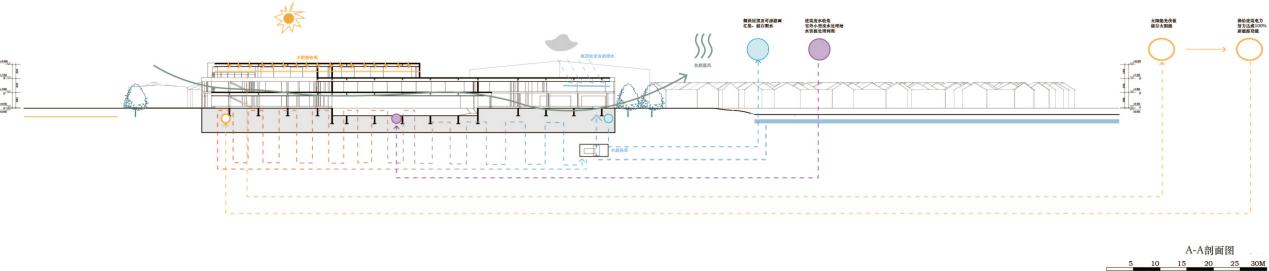 第二屆鄉(xiāng)村振興聯(lián)合畢業(yè)設(shè)計一等獎作品丨再續(xù)河夢REVIVE THE DREAM OF RI