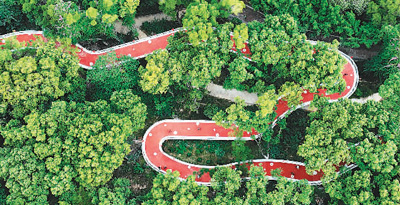 年輕人為何愛上Citywalk城市漫步?