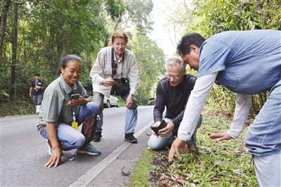 國外經驗:國家公園助力生物多樣性保護