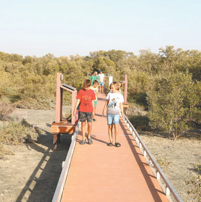國外經驗:國家公園助力生物多樣性保護
