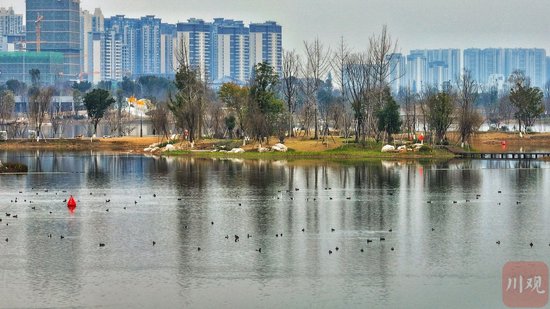 成都不斷探索公園城市建設(shè)實踐路徑