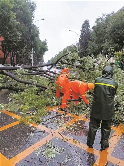 北京市園林綠化局有力應對強降雨天氣