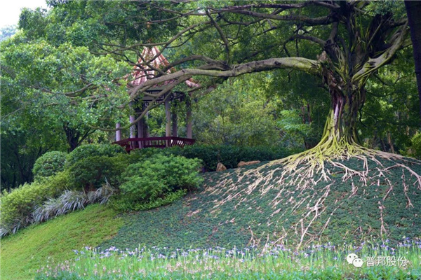 普邦股份助力廣州松園賓館提升改造