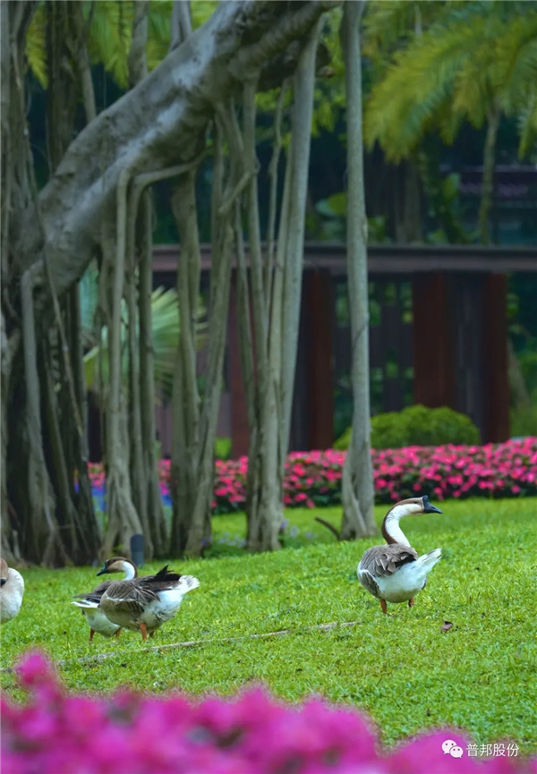 普邦股份助力廣州松園賓館提升改造
