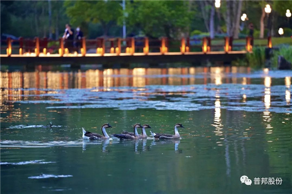 普邦股份助力廣州松園賓館提升改造