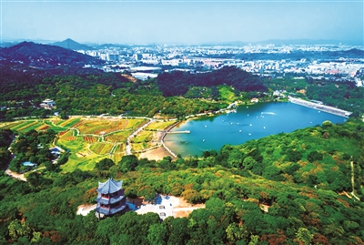 廣東出臺(tái)古樹(shù)名木保護(hù)管理指導(dǎo)意見(jiàn)