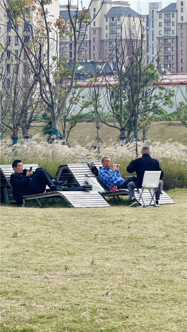 或然景觀丨活力草坪作為生活水岸目的地