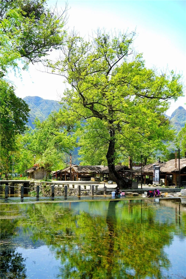 貴州云舍村:打造中國首席土家人文旅居地